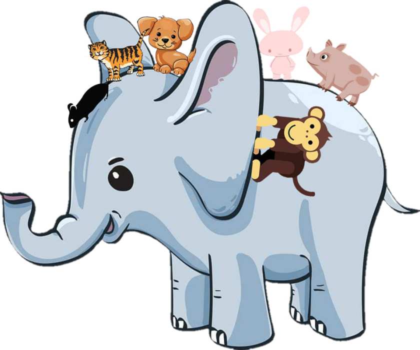 90988390_237937694274040_3204830997715615744_n