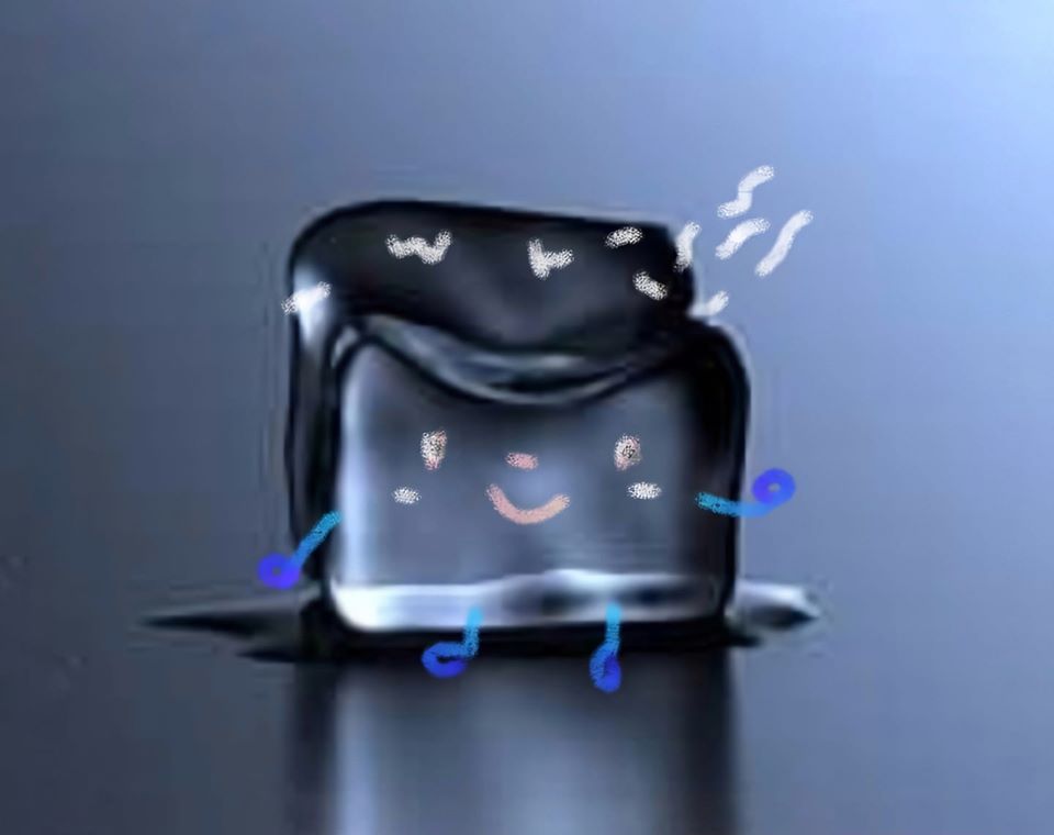 115948134_336176491116826_2042919040766188199_o